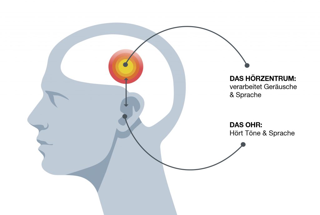 axone Hörtherapie Ohr & Hörzentrum